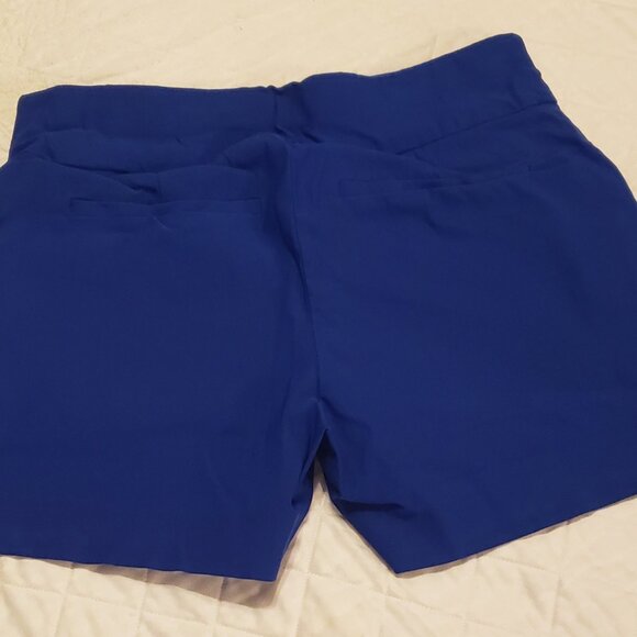 New York & Company shorts 2-pair - Picture 5 of 7
